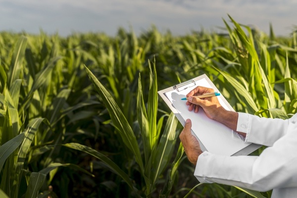 Servi�os de web design para profissionais agronomos