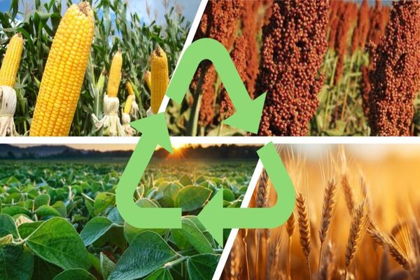 Plataformas digitais para engenharia agr�cola